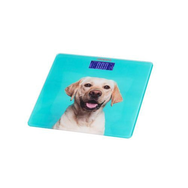 Ваги підлогові Ardesto SCB-965DOG, електронні, максимальна вага 150 кг, скло, сенсорне керування, автовідключення, функція порівняння, вбудований термометр - 2