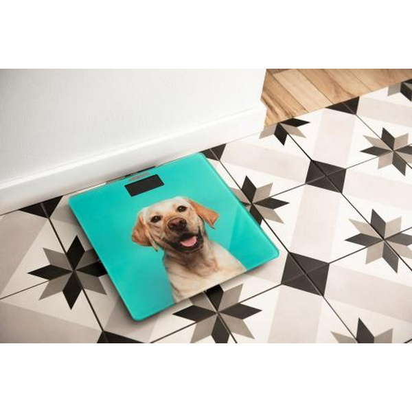 Ваги підлогові Ardesto SCB-965DOG, електронні, максимальна вага 150 кг, скло, сенсорне керування, автовідключення, функція порівняння, вбудований термометр - 6